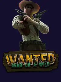 Couverture du slot Wanted Dead or a Wild